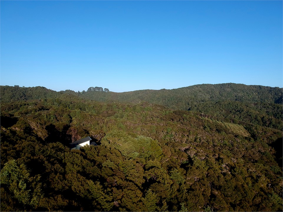 Waiotoi - The Bush Hideaway