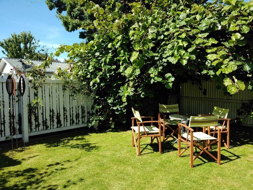 Garden with Kiwi Fruit Vines