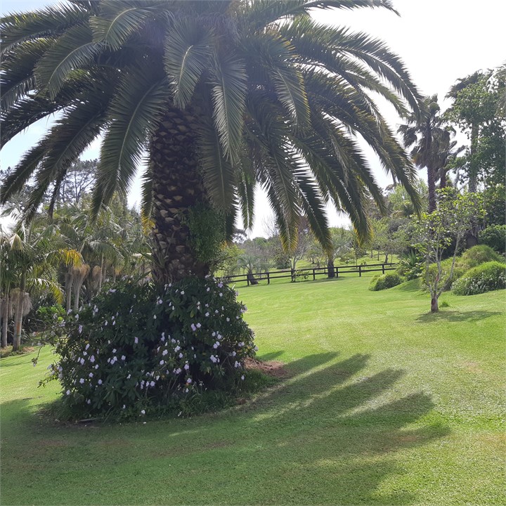 Large front yard.  Direct access from terrace.