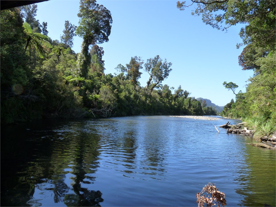 The Patarau river
