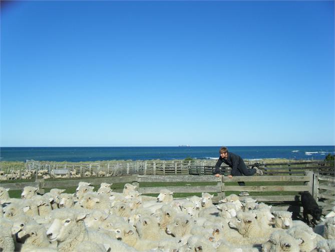 Another day at the office