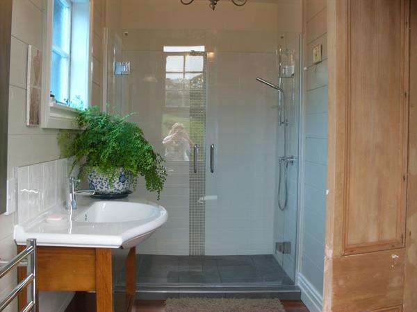 exquisite double glass shower