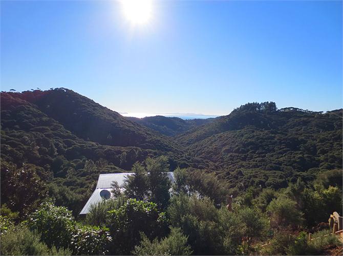 Overlook regenerating native bush out to sea