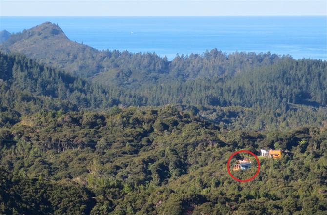 Nestled in the New Zealand bush