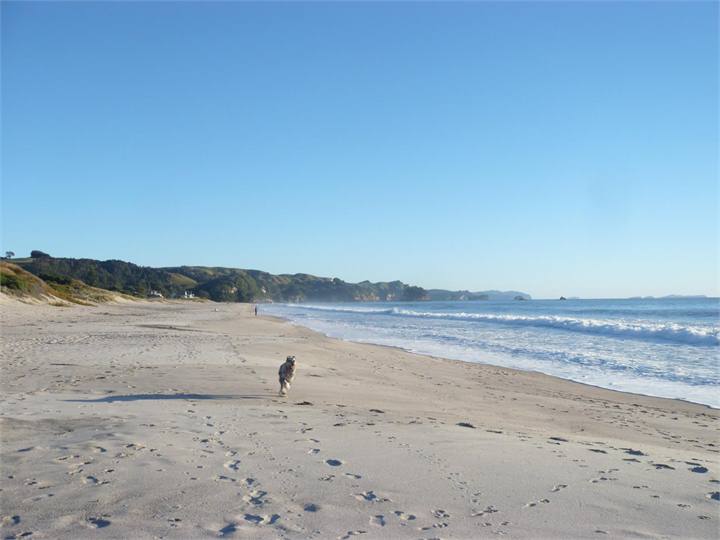 Whiritoa beach