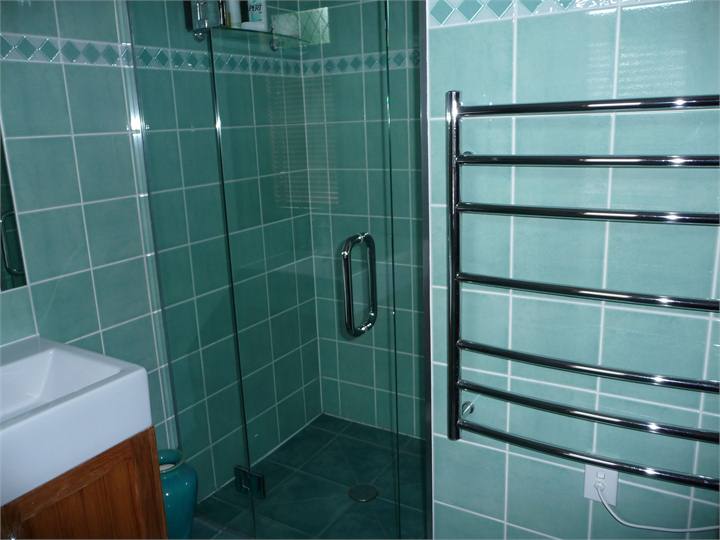 Main bathroom downstairs Shower