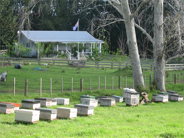Cottage with our bee hives
