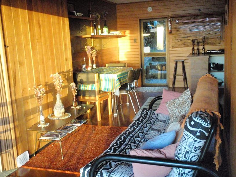 Basic /dining/living area