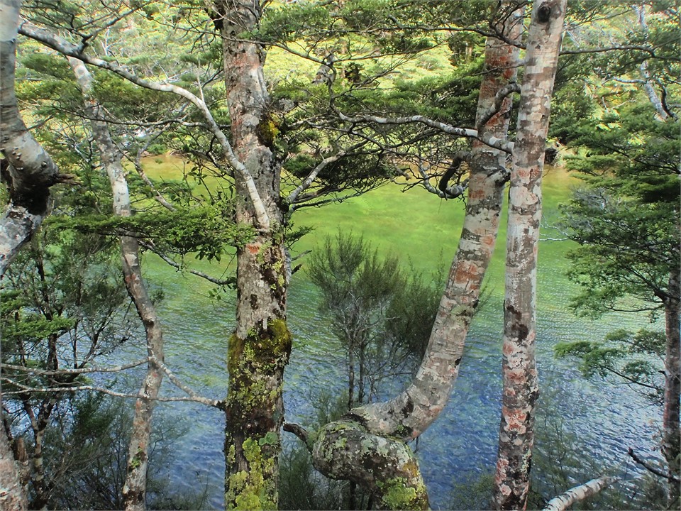 The emerald green Mararoa River