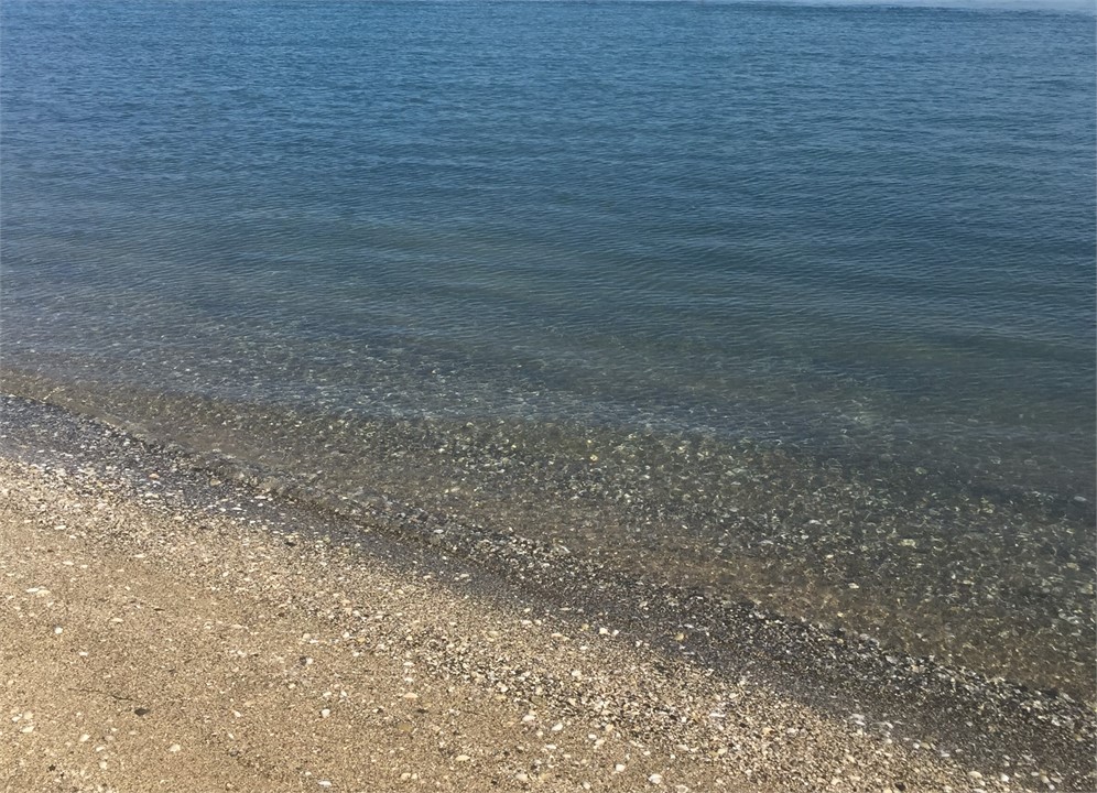 Clear water at Bucklands Beach