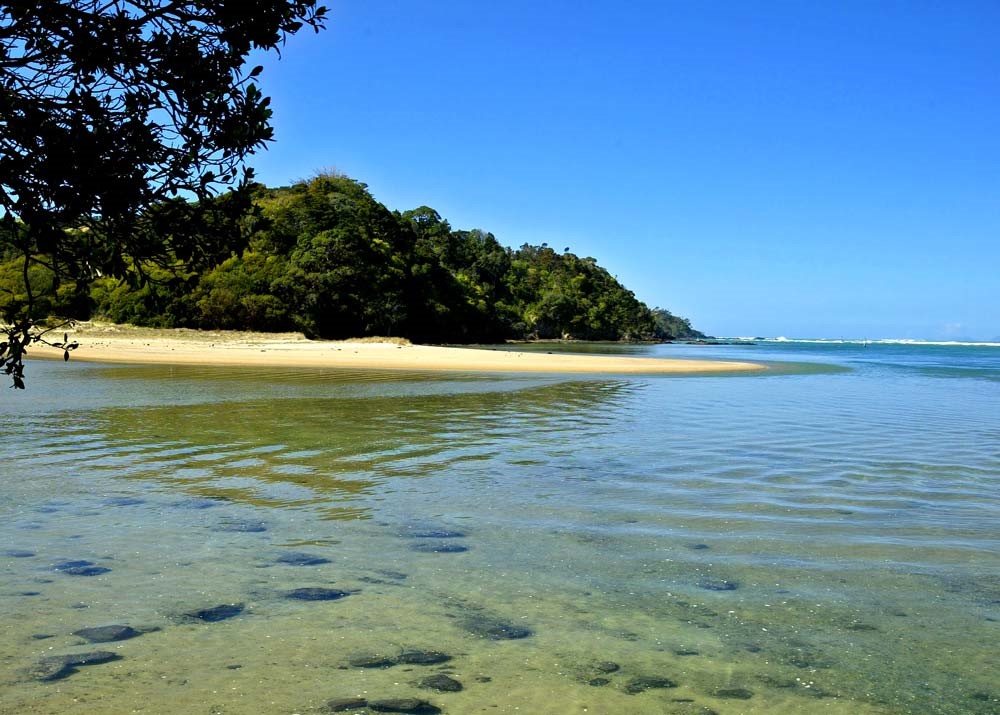 A 3 minute walk to estuary and swimming area