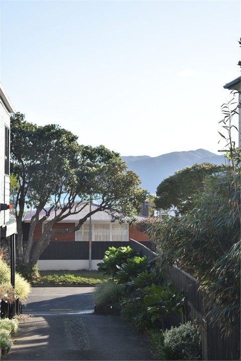 Across the road from beach walks, sunsets, boat la