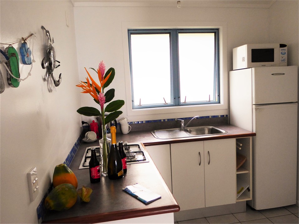 kitchen has fridge freezer, hob, microwave