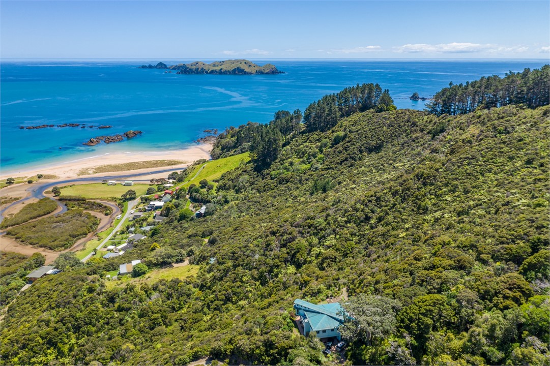 Bird'e eye view of The Kereru's Nest