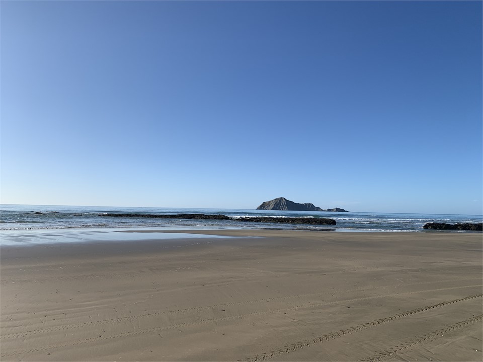 Te Motu-o-Kura - Bare Island