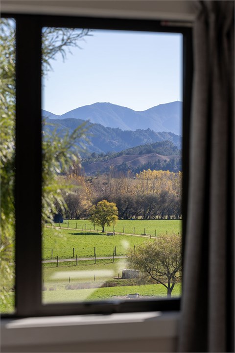 View out bedroom window