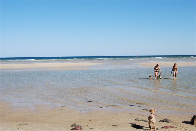 Dog Friendly - Happy Valley Beach