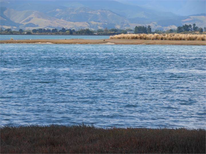 Waimea Estuary at the end of our street