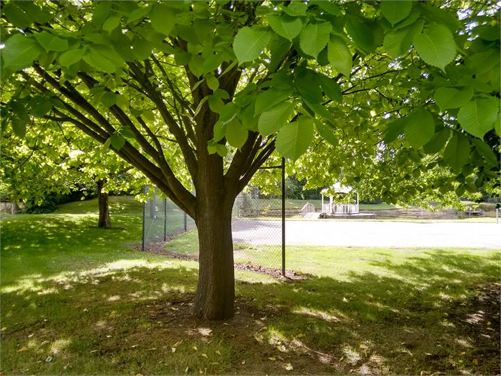 Summertime extensive gardens to walk in