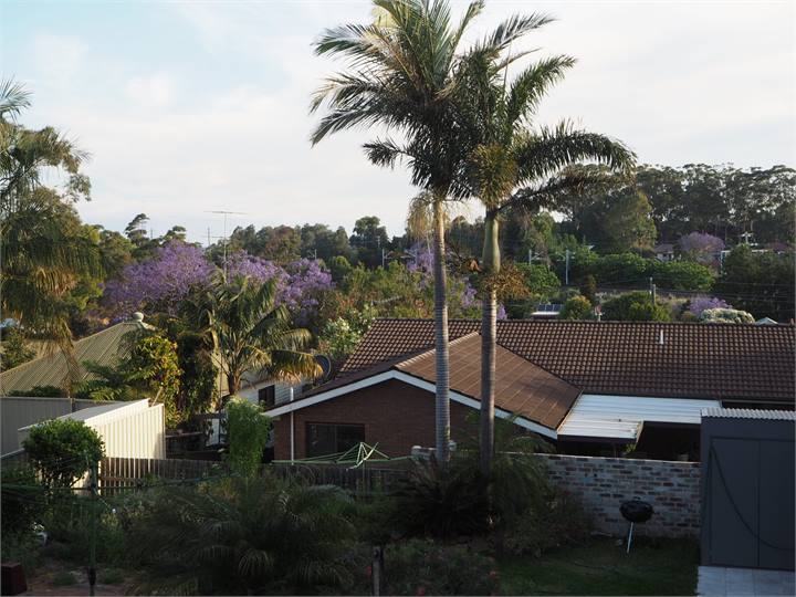 IMG_0709 View from Verandah