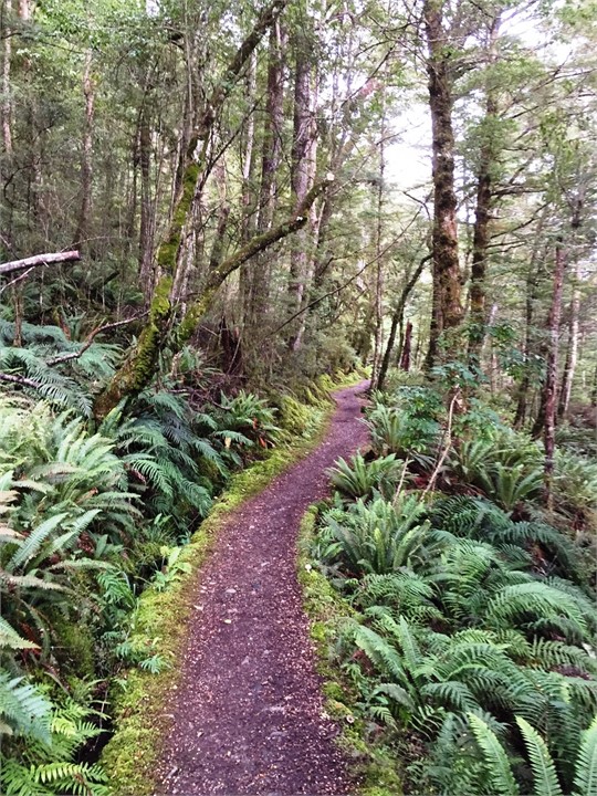 There are many hiking and walking tracks closeby