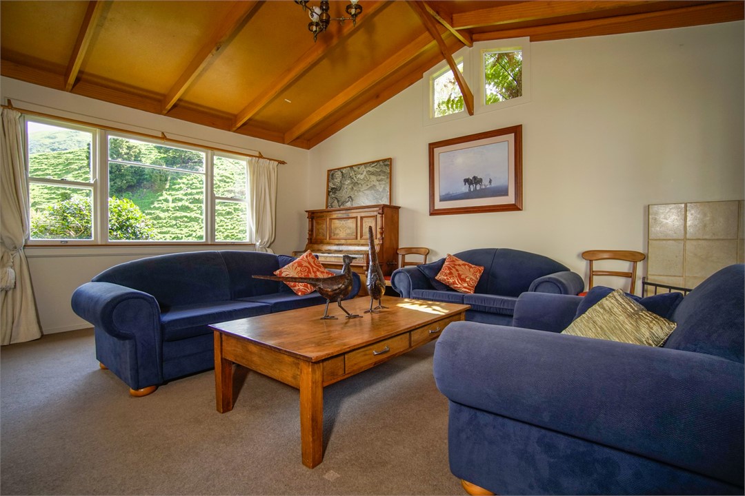 Queen sofabed for extra guests