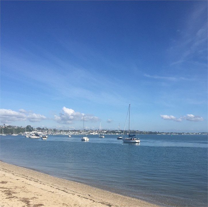 Looking back to Half Moon Bay from Bucklands Beach