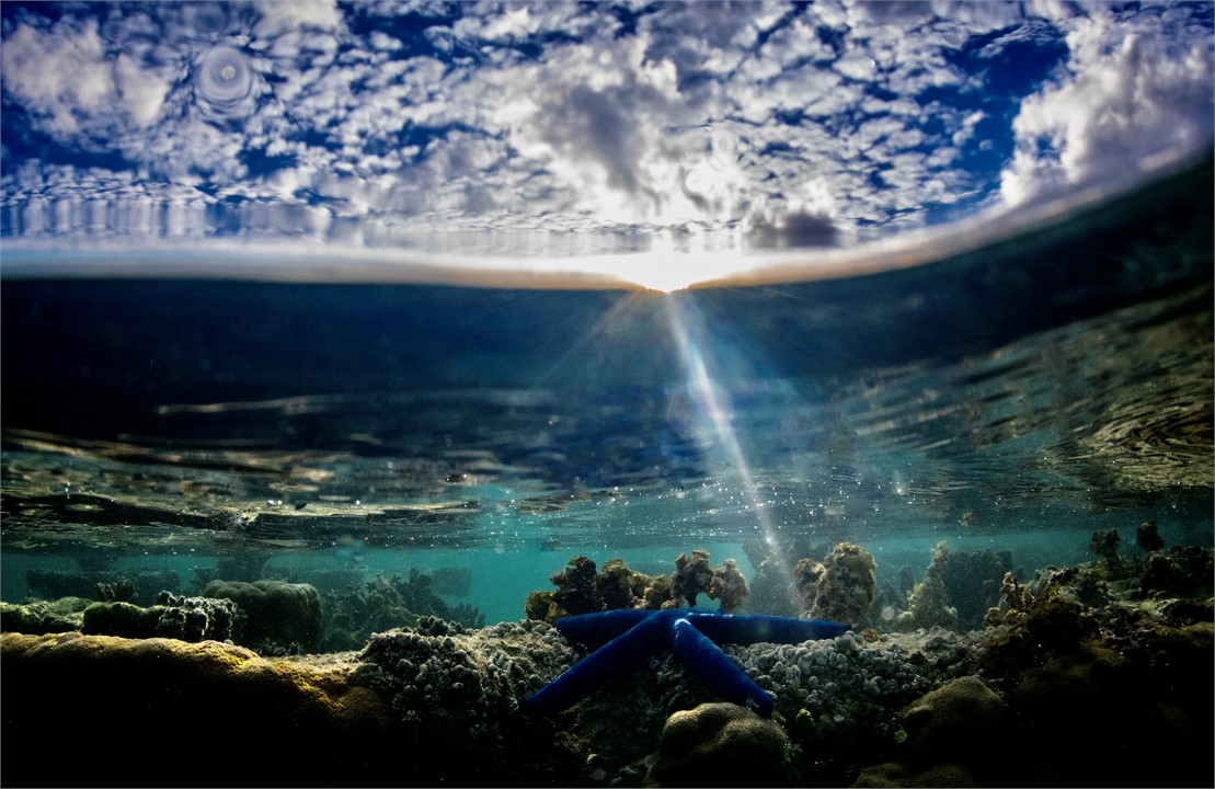 Marine reserve out front