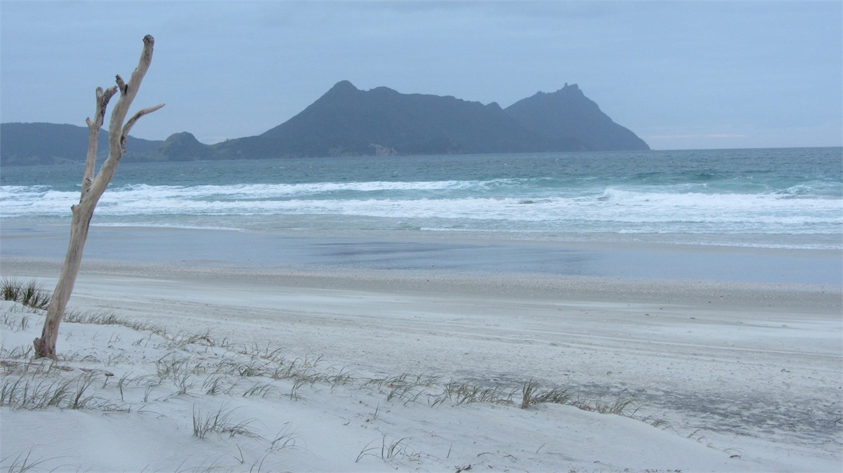 The beach, Ruakaka