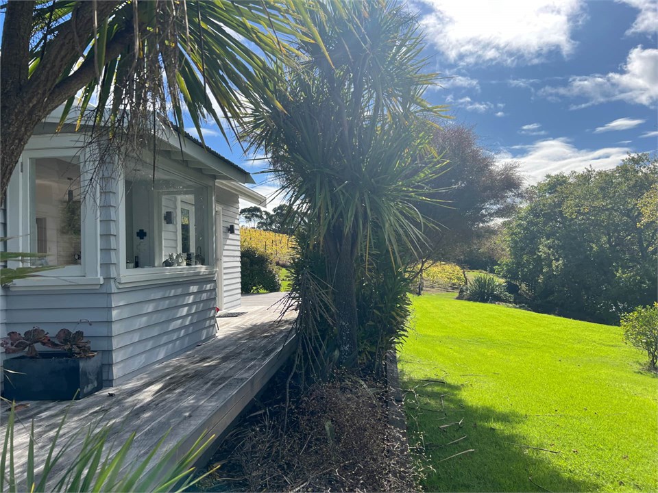 Far stretching vineyard views
