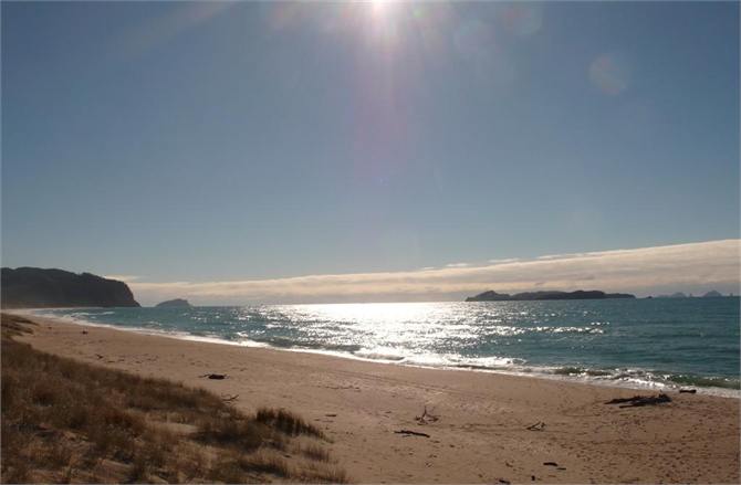 Opoutere Beach With Slipper Island