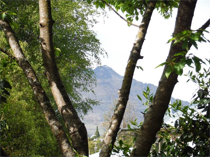 Views to Walter Peak