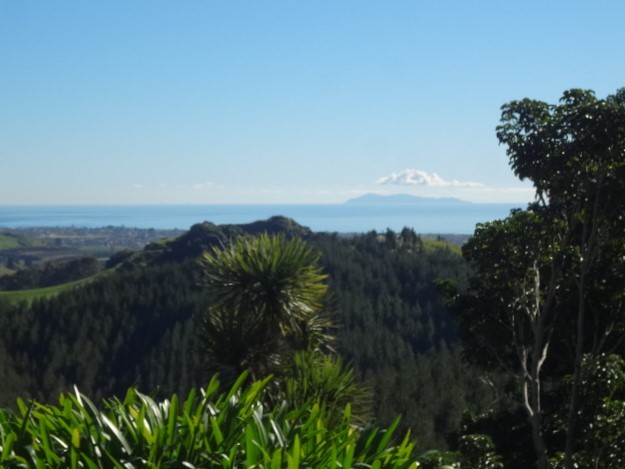 View out toMayor Island