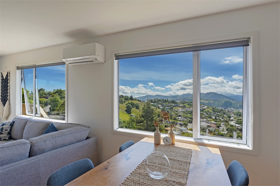 View from dining table