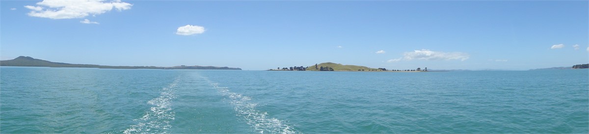 Rangitoto Is and Browns Island view from Bucklands