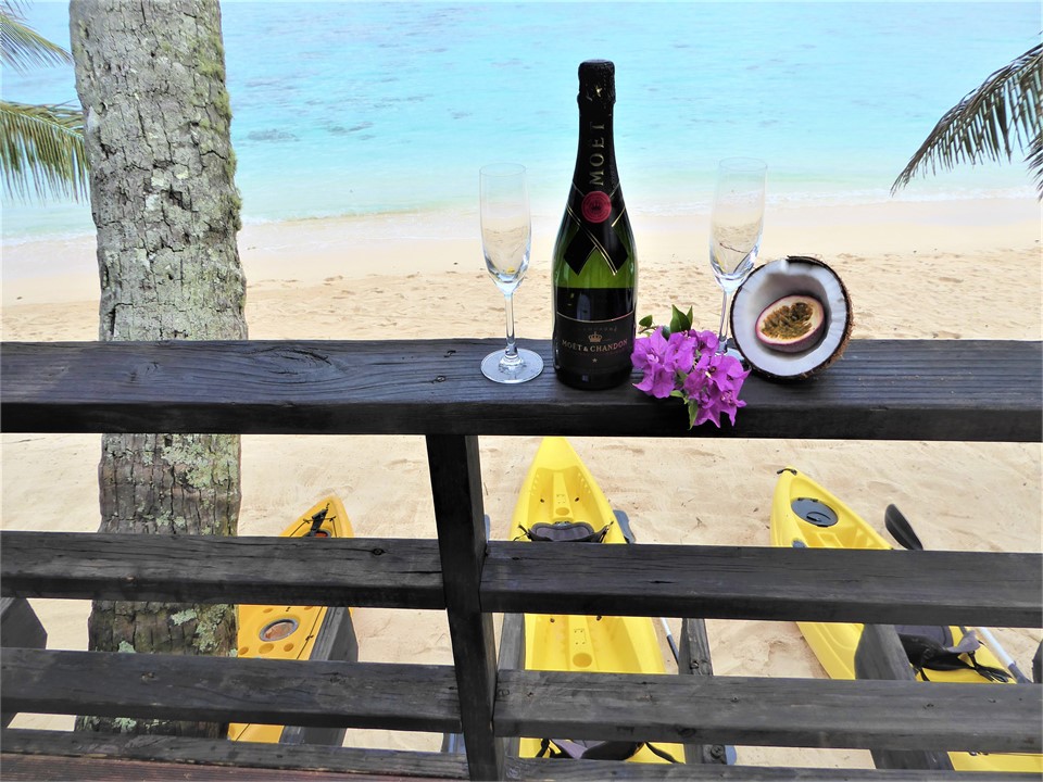 birds eye view from the deck!