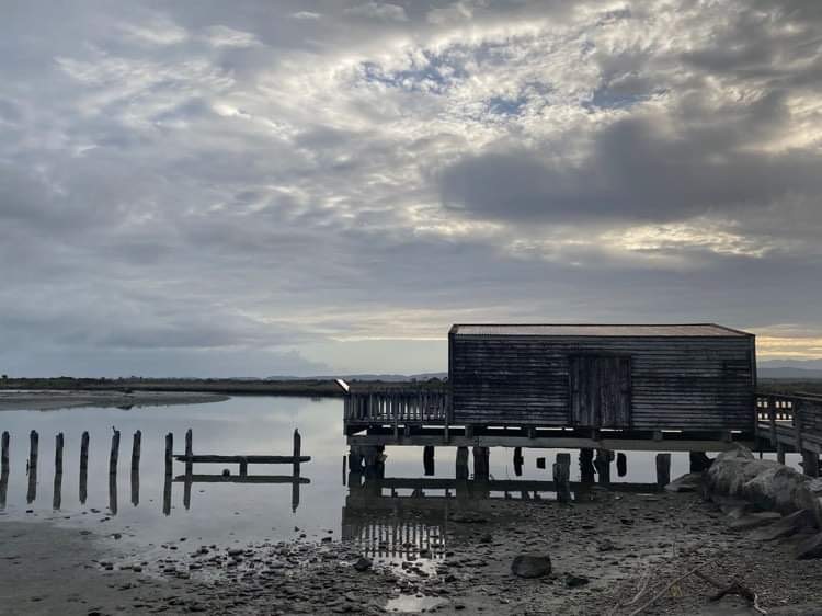 Okarito historic wharf