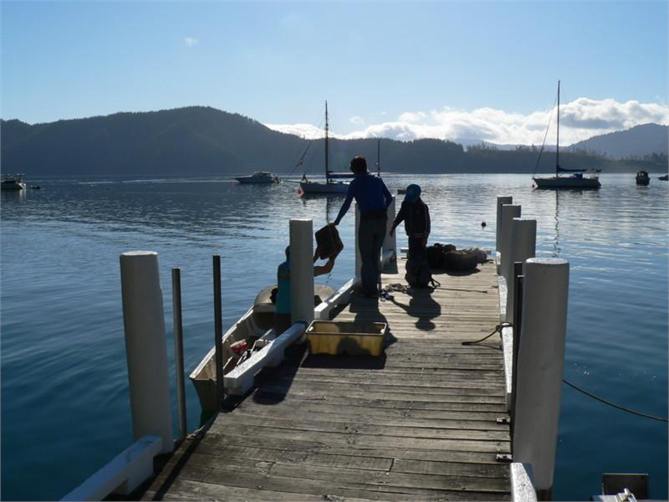 Early morning fishing trip