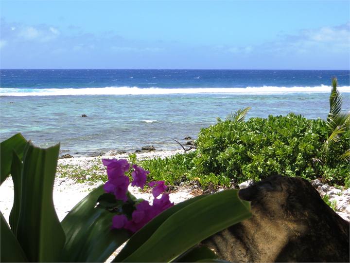 Another view of the Beach