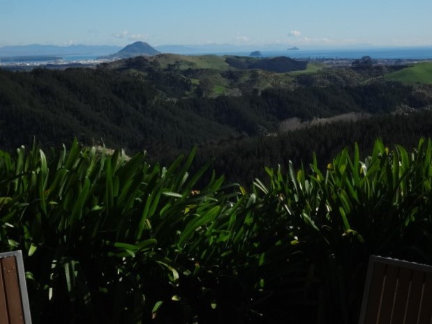 View towards Mt Maunganui
