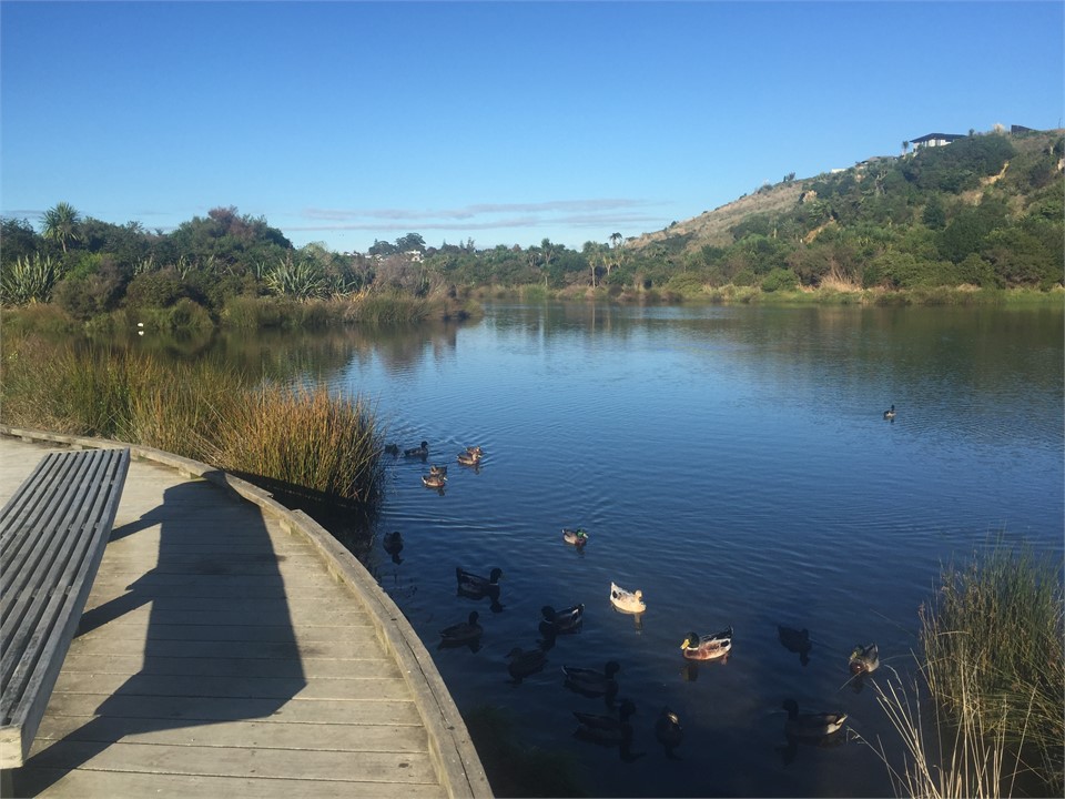 Carmicahael Reserve Nature walks 1 minute from pro