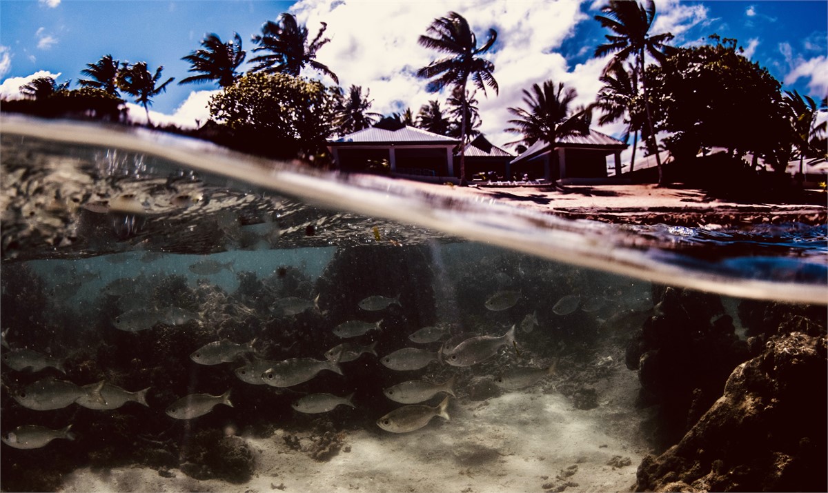 Marine reserve out front