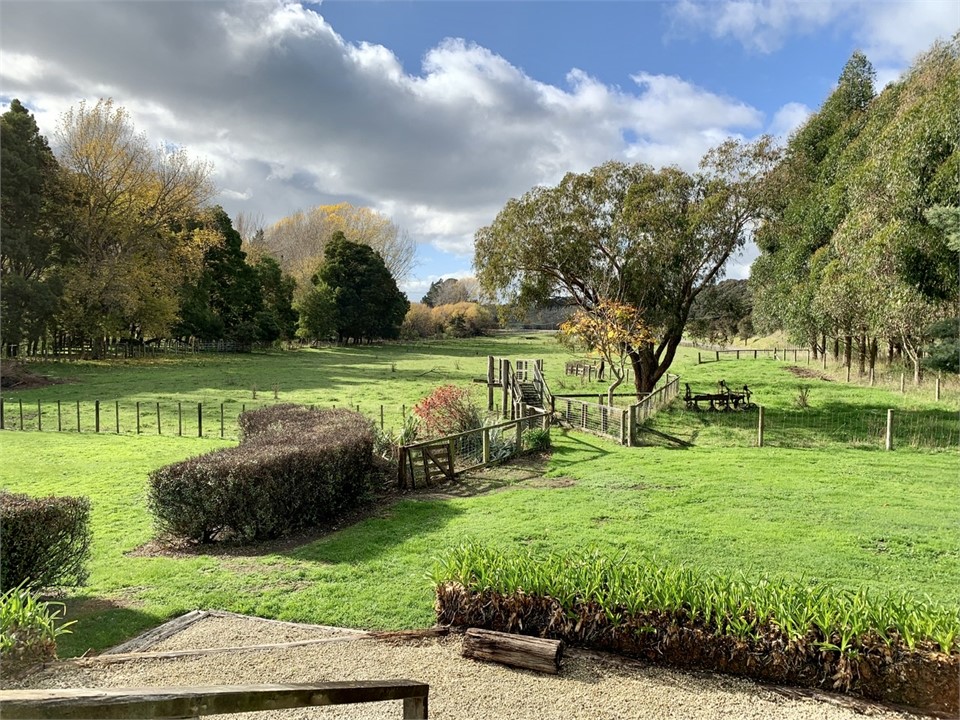 View from french doors