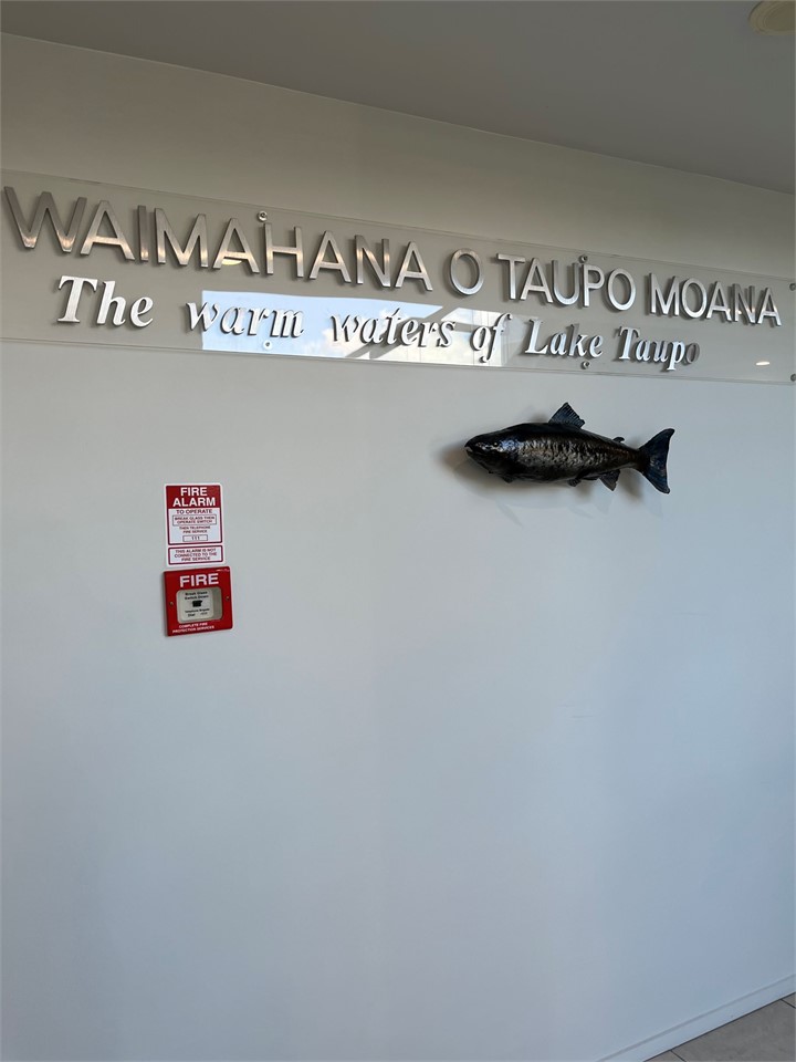 Waimahana Apartments Lake Taupo Apartment for rent Holiday Houses