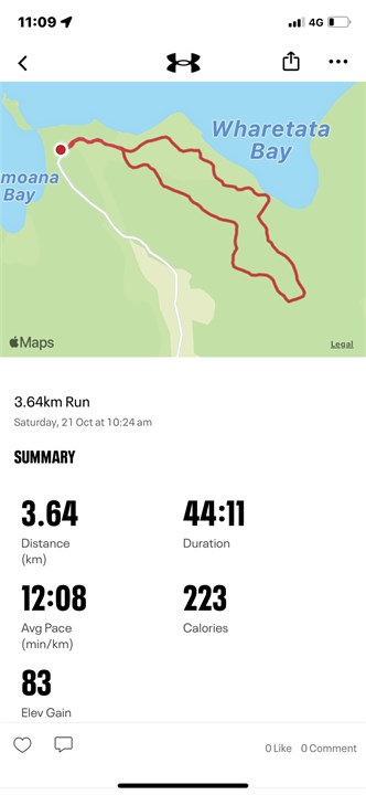 Walk/ bike around the bay