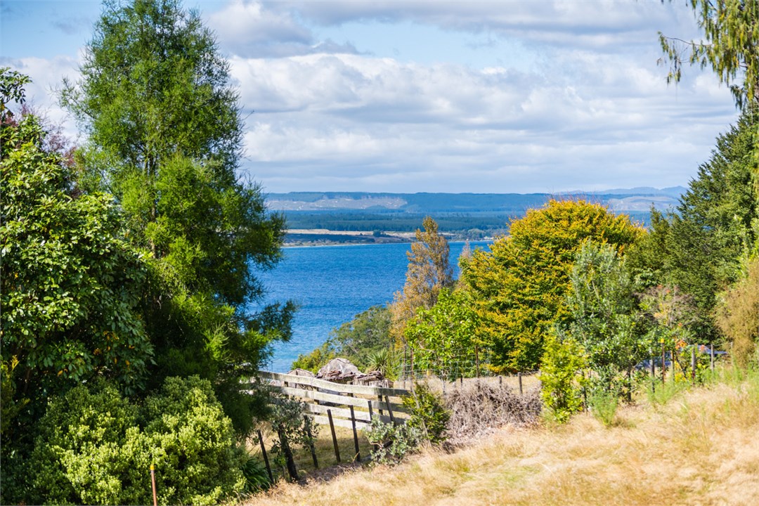 Lake Taupo through the trees