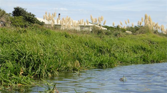 House from the Lagoon