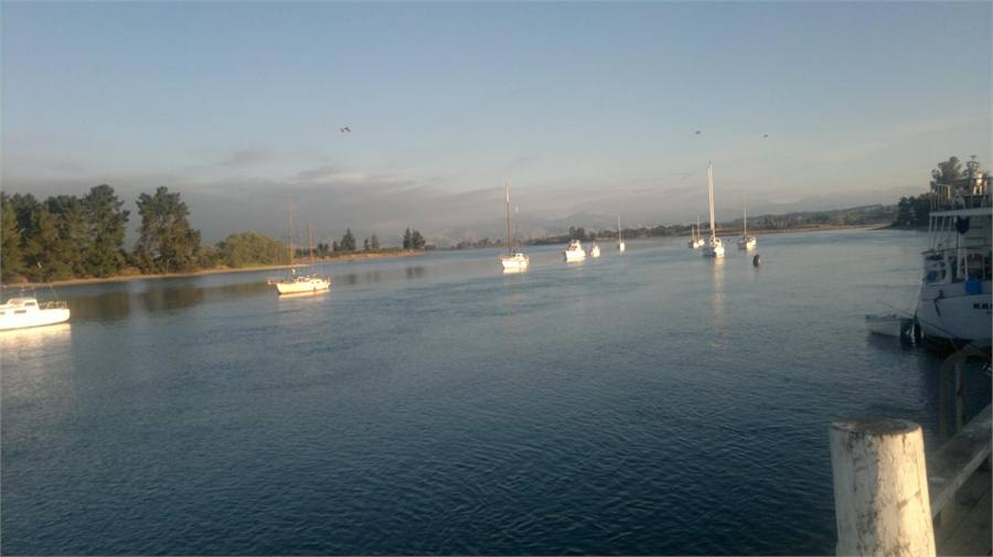 Mapua wharf and Rabbit Island