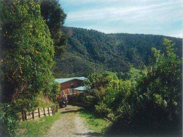 drive to your back door