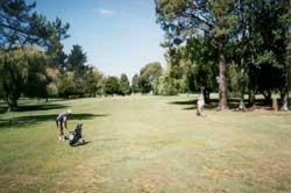 Motueka Golf course fairway